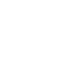 PDF File